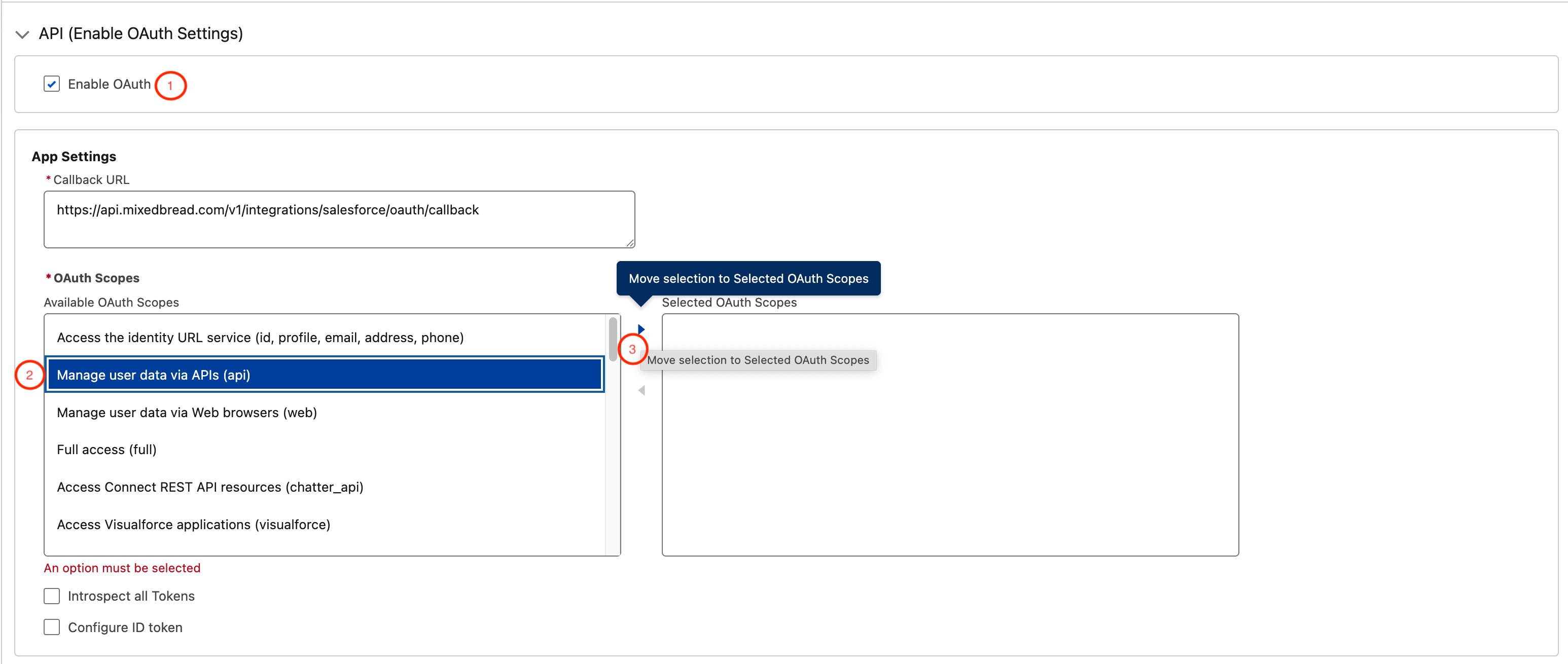Salesforce External Client App OAuth settings with callback URL and API scope selected
